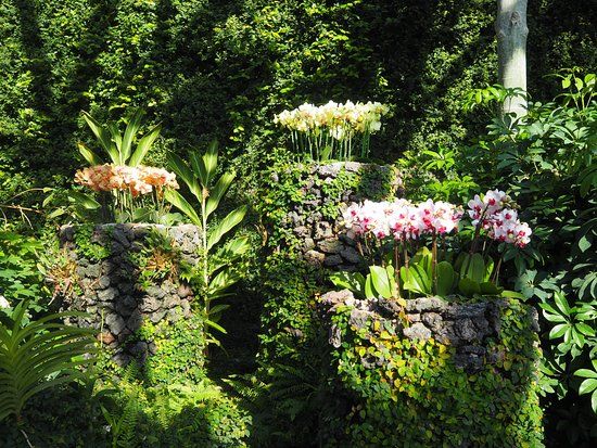 Jardin botanique Yeomiji